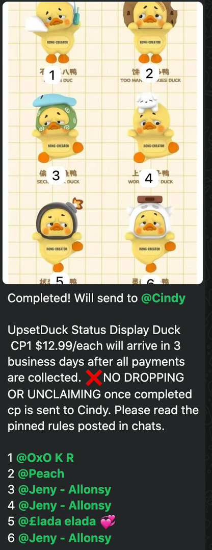 cp 1 UpsetDuck Status Display Duck 1015