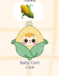 cp 6 Samuel Fried Shrimp 1015