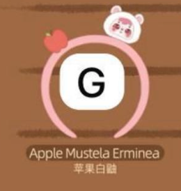 cp 1 Samuel Headbands 1031