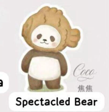 cp 2 PanPan Planet Bear Stand by Me 1031