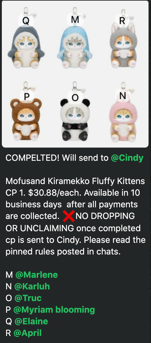 cp 1 Mofusand Kiramekko Fluffy Kittens 1105