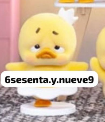 cp 1 Upset Duck (stop the spiral Duck) 1105