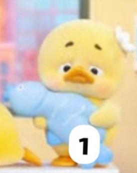 cp 1 Upset Duck (stop the spiral Duck) 1105