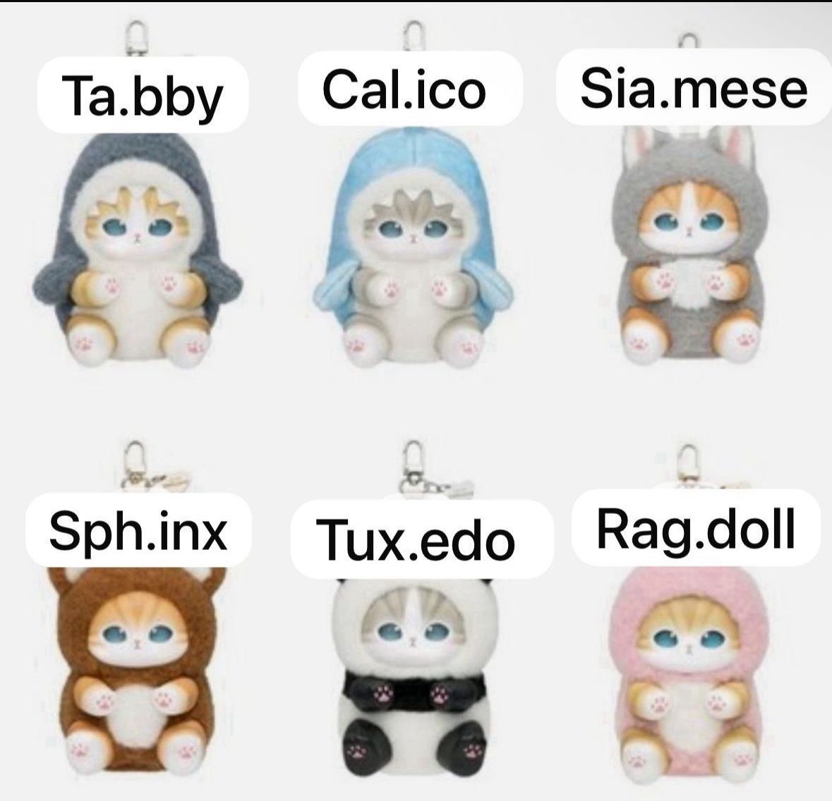 cp 4 Mofusand Kiramekko Fluffy Kittens 1202