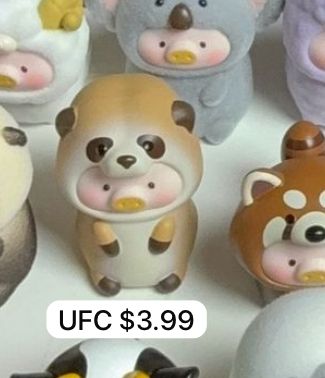 link ufc 8