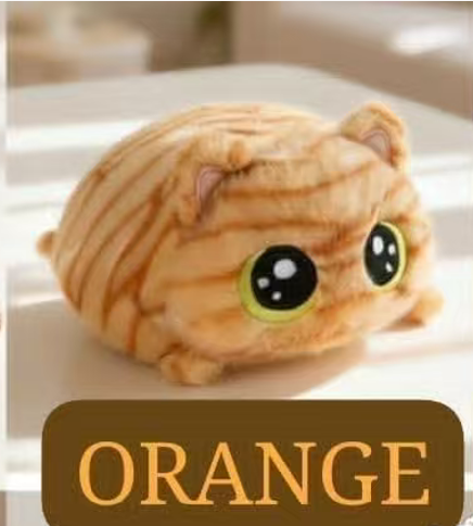CP3 Chubby cat 0925