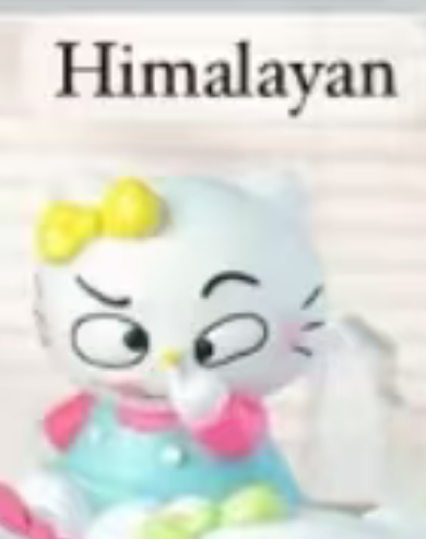 CP 2 Crazy Hello Kitty 0912