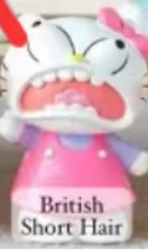 CP 2 Crazy Hello Kitty 0912