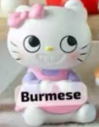 CP 3 Crazy Hello Kitty 0912