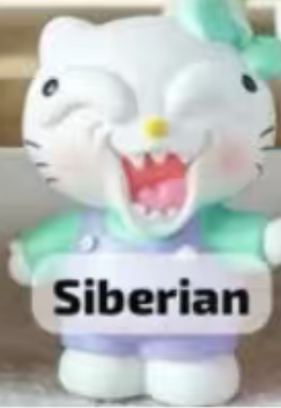 CP 3 Crazy Hello Kitty 0912